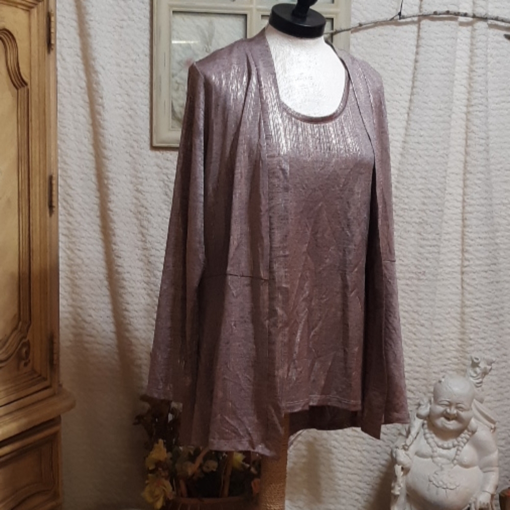 SUSAN GRAVER Blouse and Jacket Suit set Sz Med Champagne Metallic Pink b32